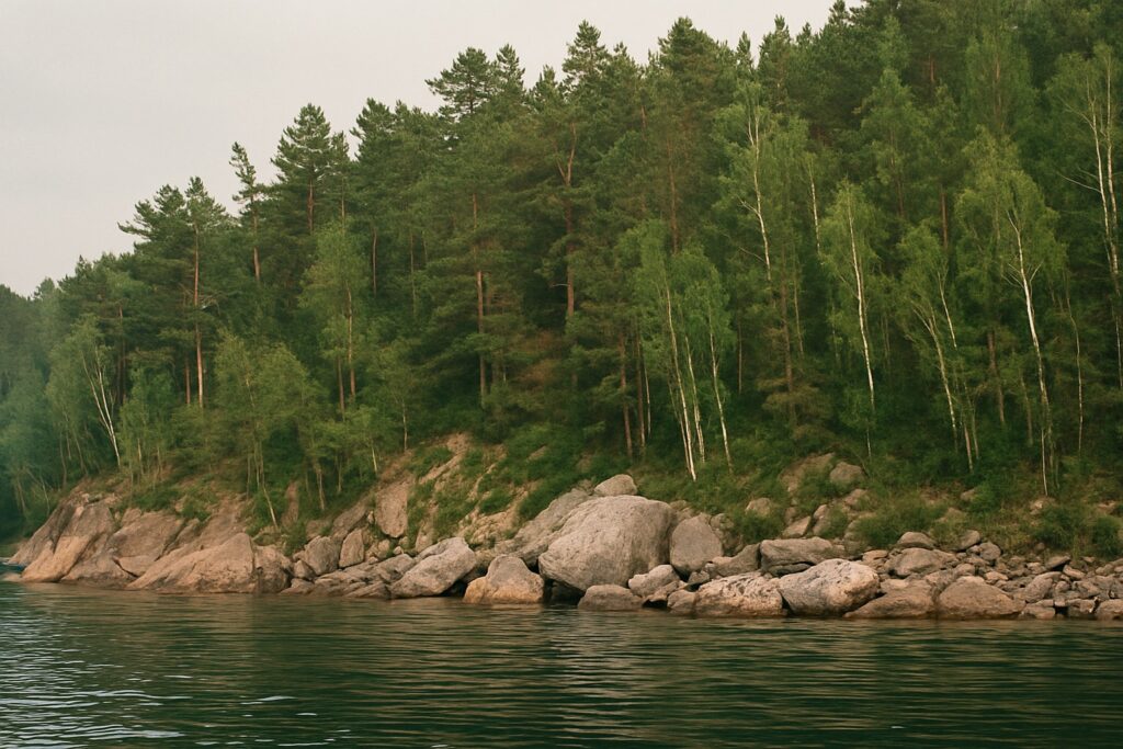 Felsiges Ufer einer bewaldeten Insel mit Kiefern und Birken